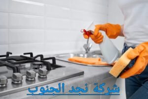 أرخص شركة تنظيف ببيشة