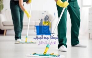 أرخص شركة تنظيف منازل ببيشة