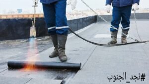 شركة عزل أسطح ببيشة