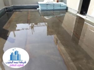 افضل شركة عزل اسطح ببيشة