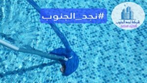 تنظيف مسابح بيشة