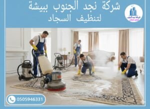 شركة تنظيف سجاد ببيشة
