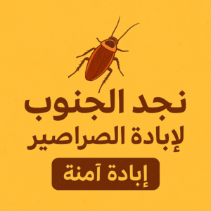 كيف تتخلص من الصراصير نهائياً باستخدام طرق آمنة