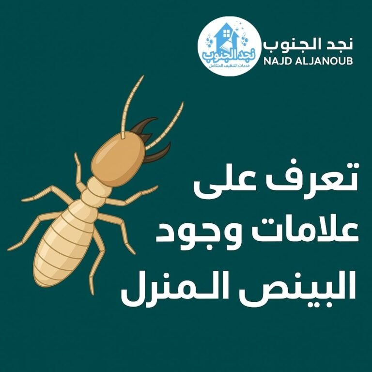 علامات وجود النمل الأبيض في المنزل