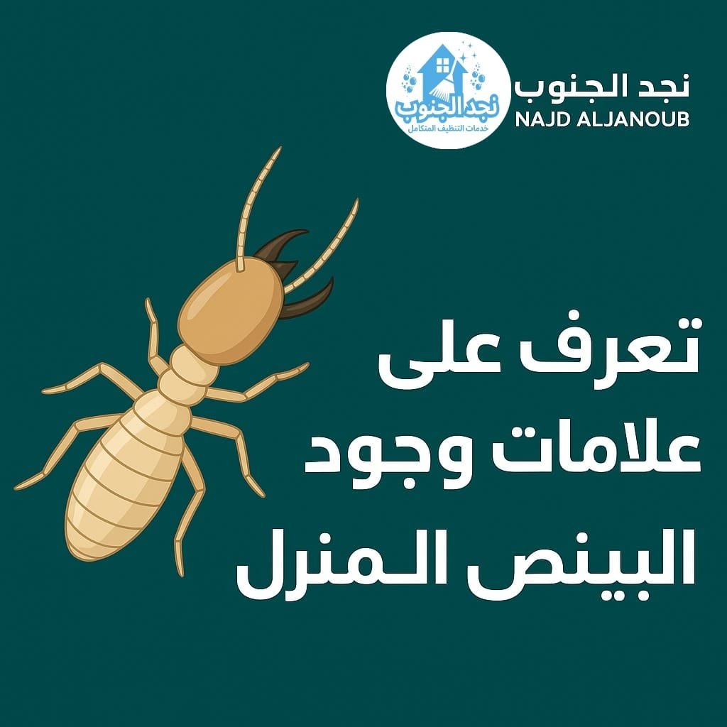 علامات وجود النمل الأبيض في المنزل