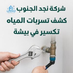 كشف تسربات المياه بدون تكسير في بيشة