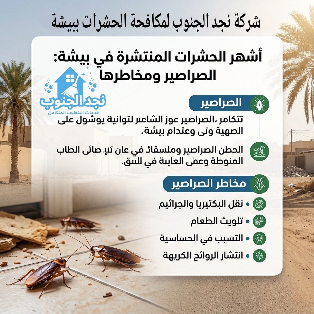 شركة مكافحة الآفات ببيشة